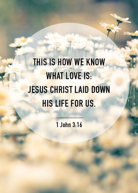 By this we know love, that he laid down his life for us, and we ought to lay down our lives for the brothers.- 1 John 3:16 - Christian - Bible John Verses, 1 John 3 16, Broken Marriage, Christian Verses, Gods Love Quotes, Ways To Show Love, John 3 16, John 3:16, John 3