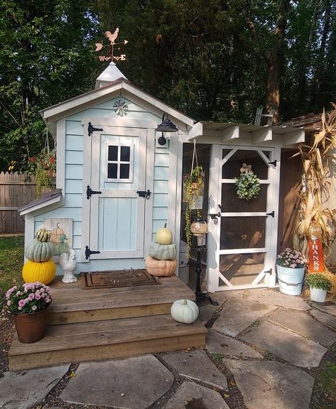 Shabby Chic Chicken Coop, Blue Chicken Coop, Chic Chicken Coop, Mini Holland Lop, Chicken Habitat, Chicken Coops Ideas, Chicken Coop Build, Shed Renovation, 1 Acre Homestead