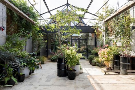 8 Types of People Who Need Greenhouse Inspiration Industrial Conversion, Imperfect Interiors, Terrace Designs, Trees In Pots, Urban Courtyards, Interior Courtyard, Industrial Garden, Garden Interior, Small Courtyard Gardens