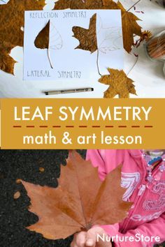 Symmetry Lesson, Math Art Lessons, Leaf Symmetry, Symmetry Math, Maths In Nature, Homeschool Art Curriculum, Symmetry Activities, Nature Lessons, Steam Lessons