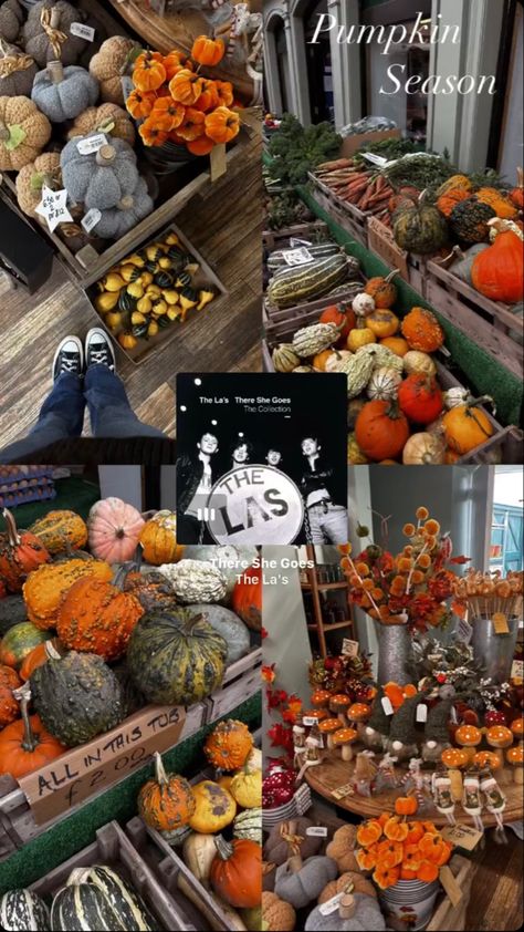 Fall Insta Story Template, Pumpkin Patch Instagram Story, Halloween Story Ideas Instagram, Halloween Insta Story Ideas, Halloween Ig Story Ideas, Fall Insta Story Ideas, Halloween Insta Story, Halloween Ig Story, Fall Ig Story