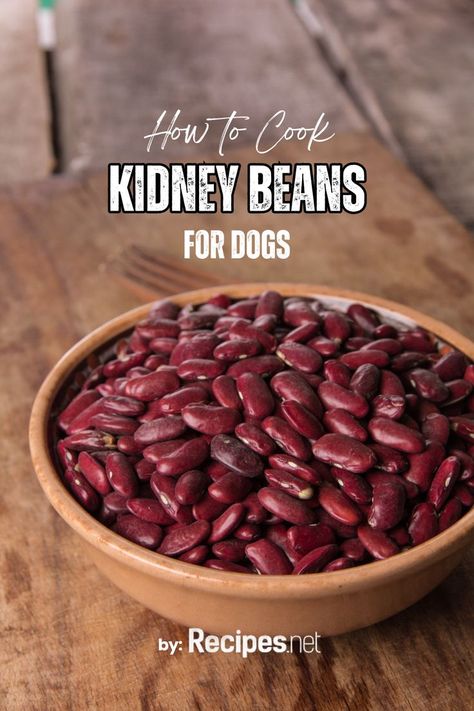 Want to know how to cook kidney beans for dogs? Our easy recipe ensures a healthy and delicious meal for your pet. It's packed with nutrients to keep your dog thriving. Check out recipes.net for more dog food recipes easy! #DogCare #HealthyDogMeals #PetFoodRecipes #DogLovers #HomemadePetFood Dog Food Recipes Easy, Food Recipes Easy, Cooking Method, Kidney Beans, Healthy Dogs, Learn To Cook, How To Cook, Dog Food, Recipes Easy