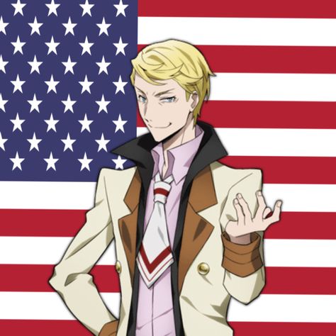 Bsd Discord, Fitzgerald Bsd, Homeless Dogs, Silly Dogs, America Flag, Bongou Stray Dogs, Domestic Cat, Cat Adoption, Bungo Stray Dogs