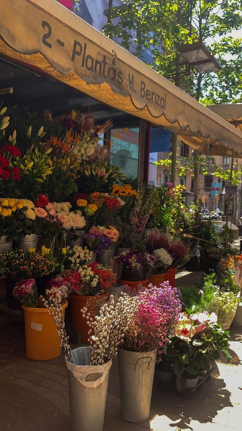 european summer, street flower shop, flower aesthetic, barcelona Aesthetic Barcelona, Italian Flowers, Barcelona Aesthetic, European Summer Aesthetic, Barcelona City, Aesthetic Shop, Florist Shop, Summer Street, Europe Summer