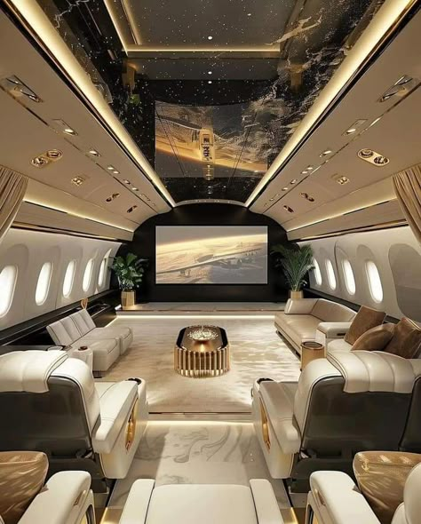 Private Jet Concept, Private Plane Interior, Jets Privés De Luxe, Private Jet Travel, Private Jet Interior, Jet Privé, Luxury Jets, Luxury Private Jets, Opulent Interiors