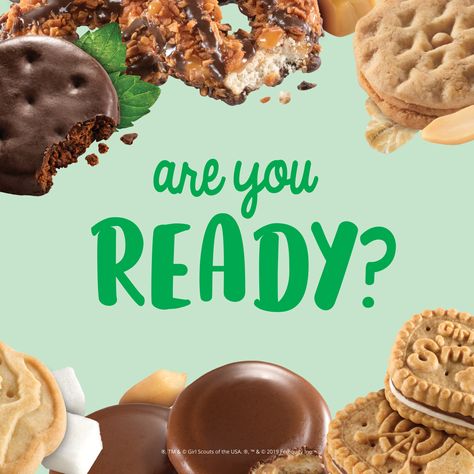 Cookie Season Girl Scout, Girl Scouts Cookies, Girl Scout Cookie Memes Funny, Girl Scout Cookies 2024, Girl Scout Cookies Funny, Girl Scout Cookie Meme, Selling Girl Scout Cookies, Girl Scout Mom, Brandy Snaps