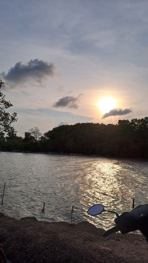 Kala senja di tepi laut dengan aksen pohon mangrove mempercantik alam masyaAllah