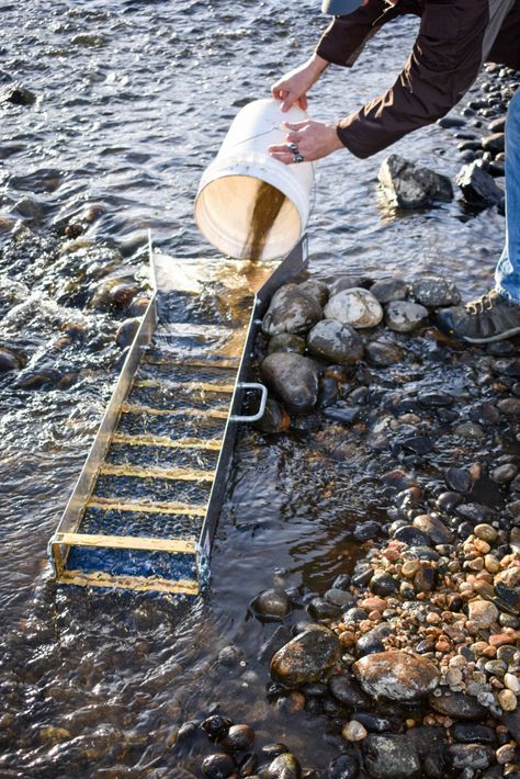 Best Sluice Box REVIEWS: Find More Gold With These Sluice Boxes! Gold Mining Aesthetic, Mining Aesthetic, Pippa Grant, Rock Tumbler Diy, Gold Sluice Box, Gold Sluice, Gold Mining Equipment, Gold Panning, Gold Prospecting