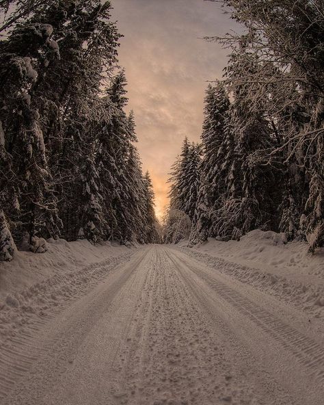 Road Aesthetic, Snowy Road, Road Photo, Winter Road, Earth Pictures, Forest Road, Winter Scenery, Destination Voyage, Winter Wonder