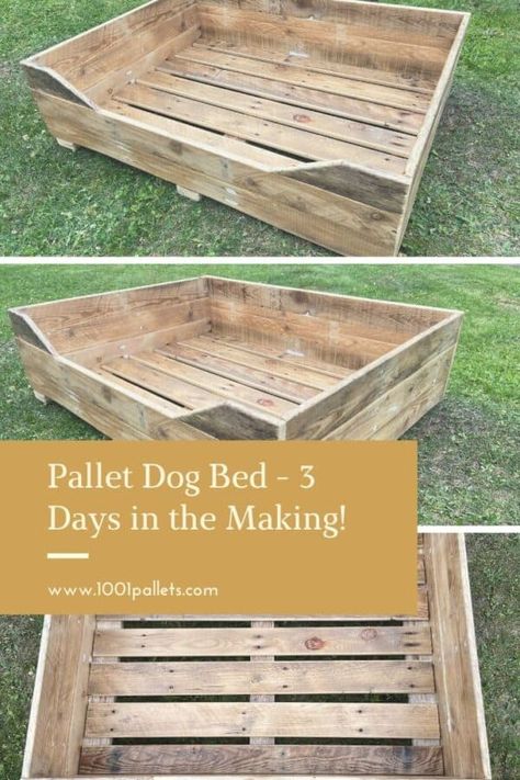 Pallet Dog Bed, Dog Beds Homemade, Dog Bed Frame, Wood Dog Bed, Raised Dog Beds, Wooden Dog Bed, Pallet Dog Beds, Outdoor Dog Bed, 1001 Pallets