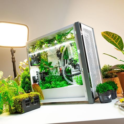 Ghibli Pc Setup, Green Gaming Setup, Desktop Ideas, Green Pc, Pc Building, Gaming Desk Setup, Setup Gamer, Dream Desk, Computer Set