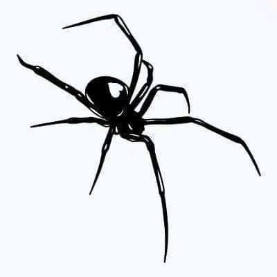 Black Widow Tattoo, Sharpie Tattoos, Widow Spider, Black Widow Spider, Small Pretty Tattoos, Tasteful Tattoos, Creepy Tattoos, Spider Tattoo, Pretty Tattoos For Women