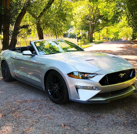 2018 Ford Mustang GT Premium Convertible Mustang Convertible 2020, Mustang Gt Premium, Gt 350, Paper Rings, Mercedes G Wagon, Ford Mustang Convertible, Mustang Convertible, G Wagon, Ford Mustang Gt