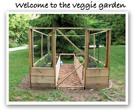 A tour through the veggie garden And So It Begins, Veg Garden, Have Inspiration, Vegetable Garden Design, Raised Bed, Veggie Garden, Garden Fence, Edible Garden, Lawn And Garden