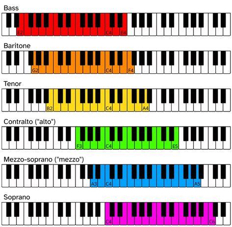 Vocal Range Calculator | Find My Voice Type Music Engineers, Type Chart, Vocal Exercises, Choral Music, Vocal Range, Singing Voice, Modern Music, Contemporary Music, Music Mood