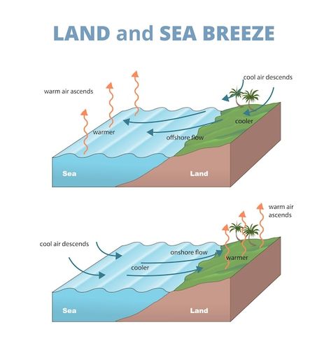 Illustration of land and sea breeze diagram Land Breeze And Sea Breeze, Land And Sea, Diagram Architecture, Boracay, Sea Breeze, School Work, Quick Saves