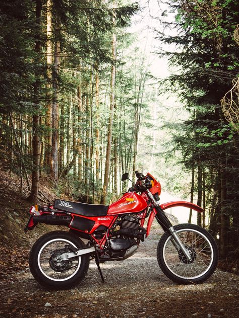 Old Honda Motorcycles, Vintage Trail, Motorcycle Adventure Travel, Vintage Enduro, Adventure Bike Motorcycles, Enduro Vintage, Honda Dirt Bike, Vintage Honda Motorcycles, Old School Motorcycles