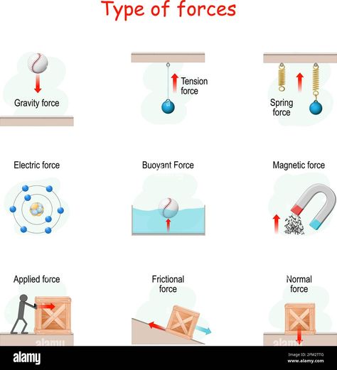 Download this stock vector: Types of force. set icons. poster for children about physics. vector illustration. collection of clip art elements for Educational use. - 2FM2TTG from Alamy's library of millions of high resolution stock photos, illustrations and vectors. Physics Illustration Art, Physics Vector, Force Physics, Types Of Forces, Physics Quiz, Physics Poster, Physics Concepts, Motion Images, Physics Formulas