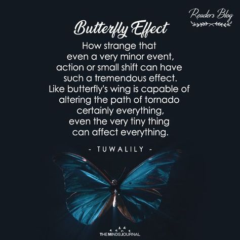 Butterfly Effect Quotes, Butterfly Effect Aesthetic, Social Butterfly Quotes, Butterfly Effect Meaning, The Butterfly Effect Quotes, Butterfly Effect Theory, Butterfly Effect Tattoo, Funny Episode, Butterfly Poems