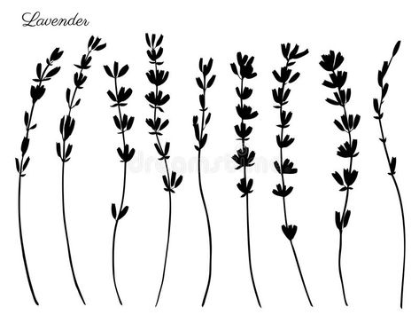 Flowers Reference, Herbs Illustration, Window Markers, Country Tattoos, Lavender Tattoo, Doodle Vector, Lavender Earrings, Silhouette Tattoos, Seal Design