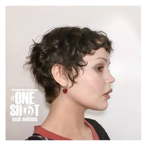 50 Curly Pixie Cut Ideas for All Face Shapes in 2023 Pixie Cut Curly Hair, Curly Styling, Curly Pixie Cut, All Face Shapes, Curly Pixie Cuts, Face Shape Hairstyles, Short Hair Pixie Cuts, Thick Curly Hair, Curly Pixie