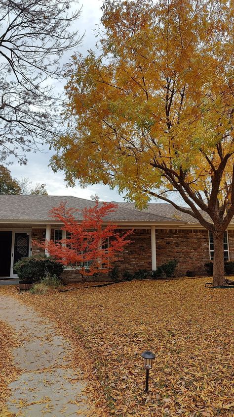 Texas Fall 🍂 Random Photography, Outdoor Decorating, Autumn Aesthetic, Fall Vibes, Dallas, Texas, Outdoor Decor, Photography