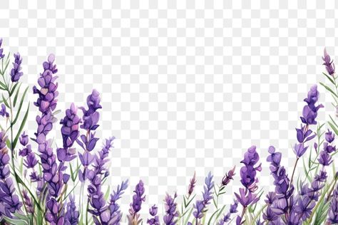 Purple Background Images, Lavender Blossom, Wedding Card Design Indian, Lavender Leaves, Purple Invitations, 7 Design, Flower Purple, Lavender Flower, Ios 7