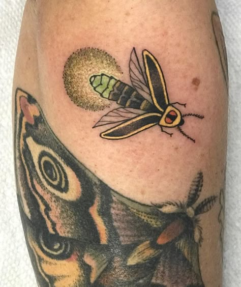 Lighting Bugs Tattoo, Fire Flies Tattoos, Bug Tattoo Color, Stick Bug Tattoo, Foliage Tattoos, Lighting Bug Tattoo, Firefly Serenity Tattoo, Lightning Bug Tattoo, Bug Tattoo Ideas