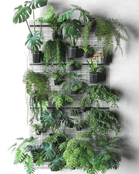 Hanging Plants Indoor Flowers - Home Decor Ideas - Home Hanging Leaves, Wall Hanging Decorations, Indoor Plant Wall, Hanging Plant Wall, Plants Wall, Plants Home, Ivy Leaves, Hanging Plants Indoor, Plants Indoor