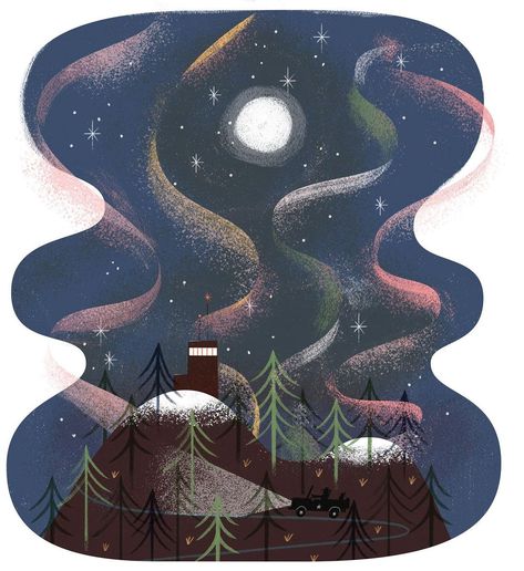 Northern Lights Illustration, Northern Lights Christmas, Tom Froese, Pattern Challenge, Powerful Illustration, Winter Illustrations, Whiteface Mountain, Dancing Lights, The Adirondacks