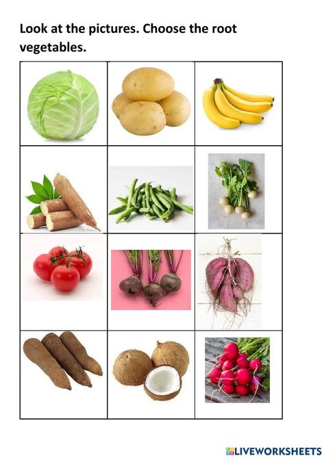 Edible Roots, Regular And Irregular Verbs, Simple Past Tense, Leaf Vegetable, Regular Verbs, Root Vegetables, Fruits Vegetables, Lentils, Botany