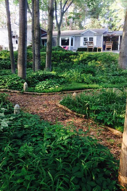 Landscaping Woods, Mulch Pathway, Log Edging, Midwest Backyard, Mulch Garden, Wooded Backyard, Portland Garden, Michigan Gardening, Gravel Pathway