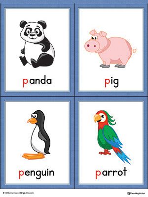 Letter P Words and Pictures Printable Cards: Panda, Pig, Penguin, Parrot (Color) Worksheet.The Letter P Words and Pictures Printable Cards can be used for flashcards, various games, and help your student associate unfamiliar words with a picture. Colorful picture cards for the words: panda, pig, penguin, and parrot. P Words Letter, Alphabet Word Wall Cards, Letter P Crafts, Alphabet Word Wall, Jolly Phonics Activities, Junior Kindergarten, Color Worksheet, Phonics Flashcards, Vocabulary Flash Cards