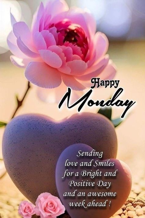 Happy Monday Quotes, Happy Monday Morning, Good Morning Dear Friend, Good Morning Happy Monday, Good Morning Funny Pictures, Good Morning Sweetheart Quotes, Good Morning Sunshine Quotes, Good Morning Flowers Pictures, Good Morning Life Quotes