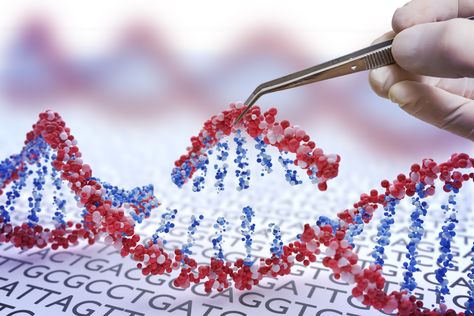 World's first gene-edited babies? Premature dangerous and irresponsible Crispr Cas9, Genetic Diseases, Dna Sequence, Human Dna, Cell Line, Genetic Engineering, Gene Therapy, Dna Repair, Genetic Testing