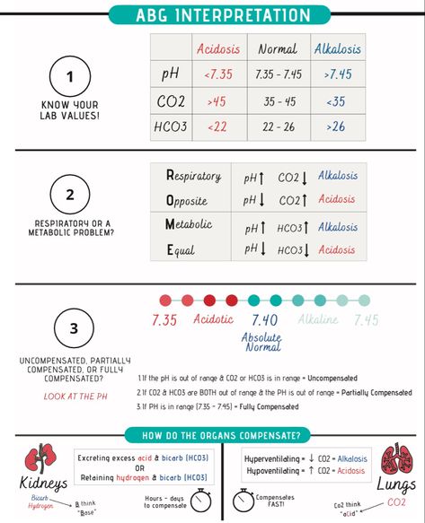 Nursing Templates, Respiratory Therapist Student, Nursing School Prep, Gas Exchange, King Abdulaziz, Nursing School Inspiration, Medical Assistant Student, Arterial Blood Gas, Nursing Board