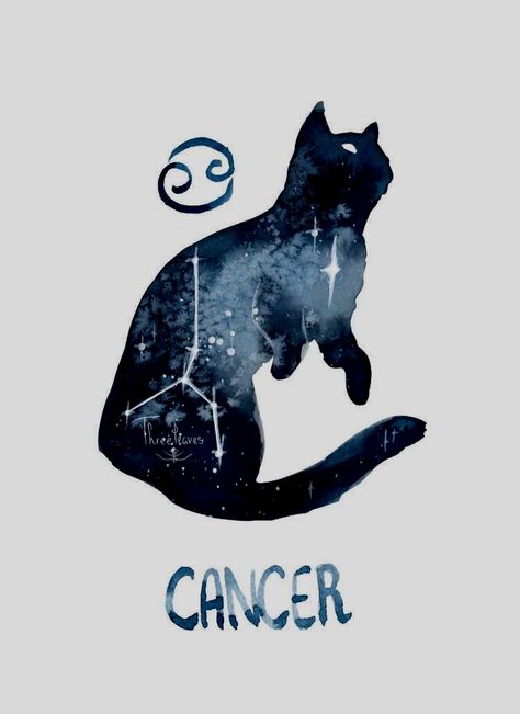 Zodiac Signs Animals, Aquarius Aesthetic, Gemini Art, Aquarius Art, Zodiac Sign Tattoos, Zodiac Signs Gemini, Cat Signs, Zodiac Art, Aquarius Zodiac