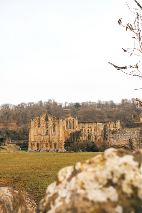 Yorkshire England Aesthetic, North Yorkshire Moors, Moors Aesthetic, Yorkshire Aesthetic, Helmsley Yorkshire, Magical Britain, English Moors, Wuthering Heights Movie, Rievaulx Abbey