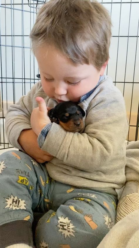 Dachshund Videos, Dog And Baby, Unique Dogs, Friendship Funny, Funny Animal Clips, Kids And Dogs, Puppy Videos, Teddy Dog, Cute And Funny Animals