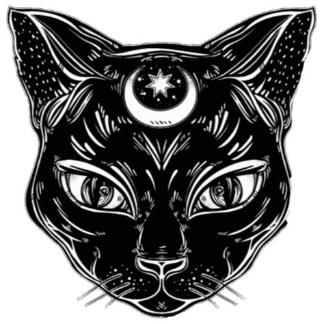 Black Cat Design, Cat Design, Black Cat, My Art, Witch, Moon, For Sale, Black, Design