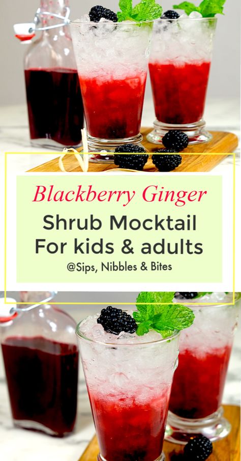 Blackberry Shrub Recipe, Shrub Mocktail Recipe, Shrubs For Drinks, Shrubs Drink Recipes, Drinking Vinegar Recipe, Cocktail Shrub Recipes, Shrub Cocktail Recipes, Shrub Drink Recipes, Shrub Mocktails