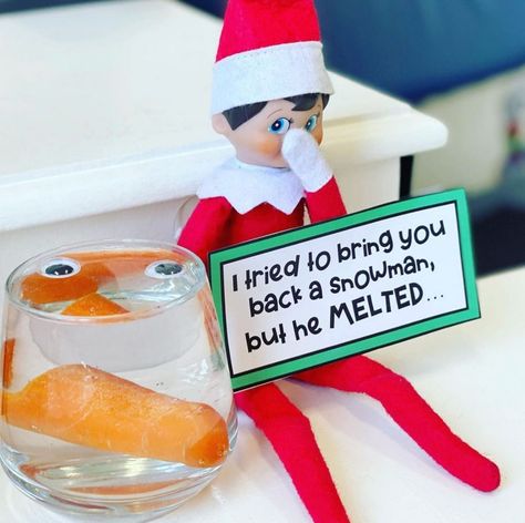 57+ Funny Elf on the Shelf Ideas for Teens - momma teen Elf Ideas Easy Funny, Elf On The Shelf Classroom, Elf On Shelf Funny, Elf Classroom, Classroom Elf, Funny Elf On The Shelf, Elf Ideas Easy, Elf Games, Melted Snowman