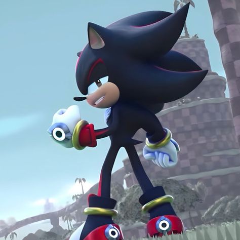 Sonic Prime, Shadow And Amy, Rouge The Bat, Baby Hedgehog, Sonic 3, Sonic Franchise, Blue Hedgehog, Shadow Photos, Sonic Adventure