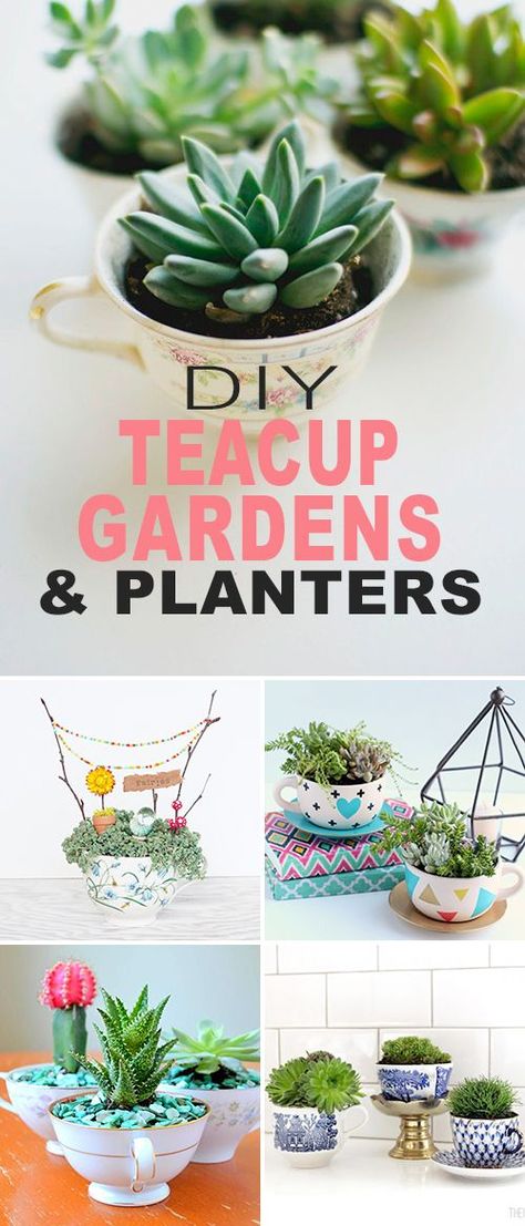 DIY Teacup Gardens and Planters! • Click thru to learn more about how to make these gorgeous DIY teacup gardens! Lots of projects and tutorials! #DIY #teacupgardens #teacupplanters #DIYteacupgardens #DIYteacupplanters #gardening #DIYgardenprojects Teacup Gardens, Succulent Centerpieces, Succulent Art, Tutorials Diy, Succulents Indoor, Diy Spring, Creative Gardening, Succulent Terrarium, Gardening Gloves