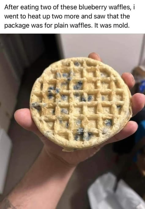 Forbidden Snacks, Funny Food Memes, Blueberry Waffles, Food Memes, Daily Funny, Food Humor, Laughing So Hard, Really Funny Pictures, Friends Funny