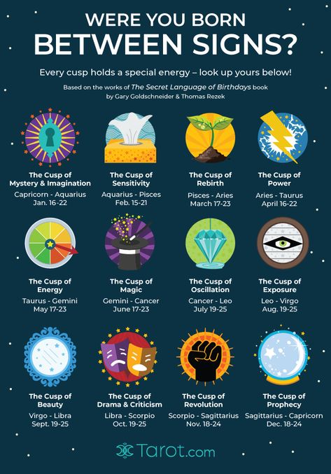 If you were born on the cusp between two zodiac signs, you'll feel the influence of them both! Learn about each of the 12 cusps in Astrology here. Cusp Signs, Zodiac Cusp, Magia Das Ervas, Chart Astrology, Signs And Symbols, Birth Chart Astrology, Learn Astrology, Astrology And Horoscopes, Signs Astrology