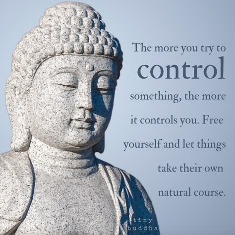 The more you try to control something, the more it controls you. Free yourself and let things take their own natural course. Tiny Buddha, Buddha Quotes Inspirational, Buddhist Teachings, Buddhism Quote, Free Yourself, Buddhist Quotes, Buddha Quote, Buddha Quotes, Dalai Lama