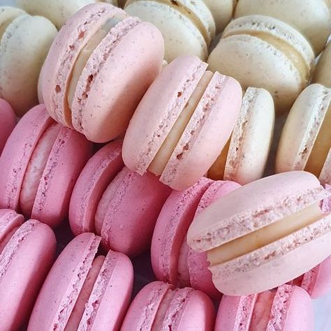 #T🌸TES_AD🌸RBES Birkin Mom, Pink Macarons, Pink Macaroons, Aesthetic Rose, Aesthetic Roses, Pink Stuff, Pink Aura, Coffee Aesthetic, No Sugar Foods