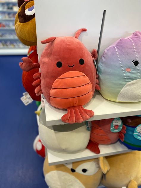 Red shrimp plush toy at store Shrimp Plush, Cute Plush, Plush Toy, Toys, Red, Animals