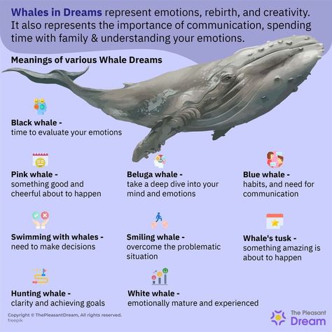 Dreaming of Whales: 50+ Types and Their Meanings Dreams And Their Meanings, Whale Meaning, Types Of Whales, Working On Yourself, Spirit Animal Meaning, Types Of Dreams, Native American Totem, Animal Meanings, Importance Of Communication